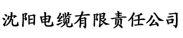 盘她视频app电缆厂logo